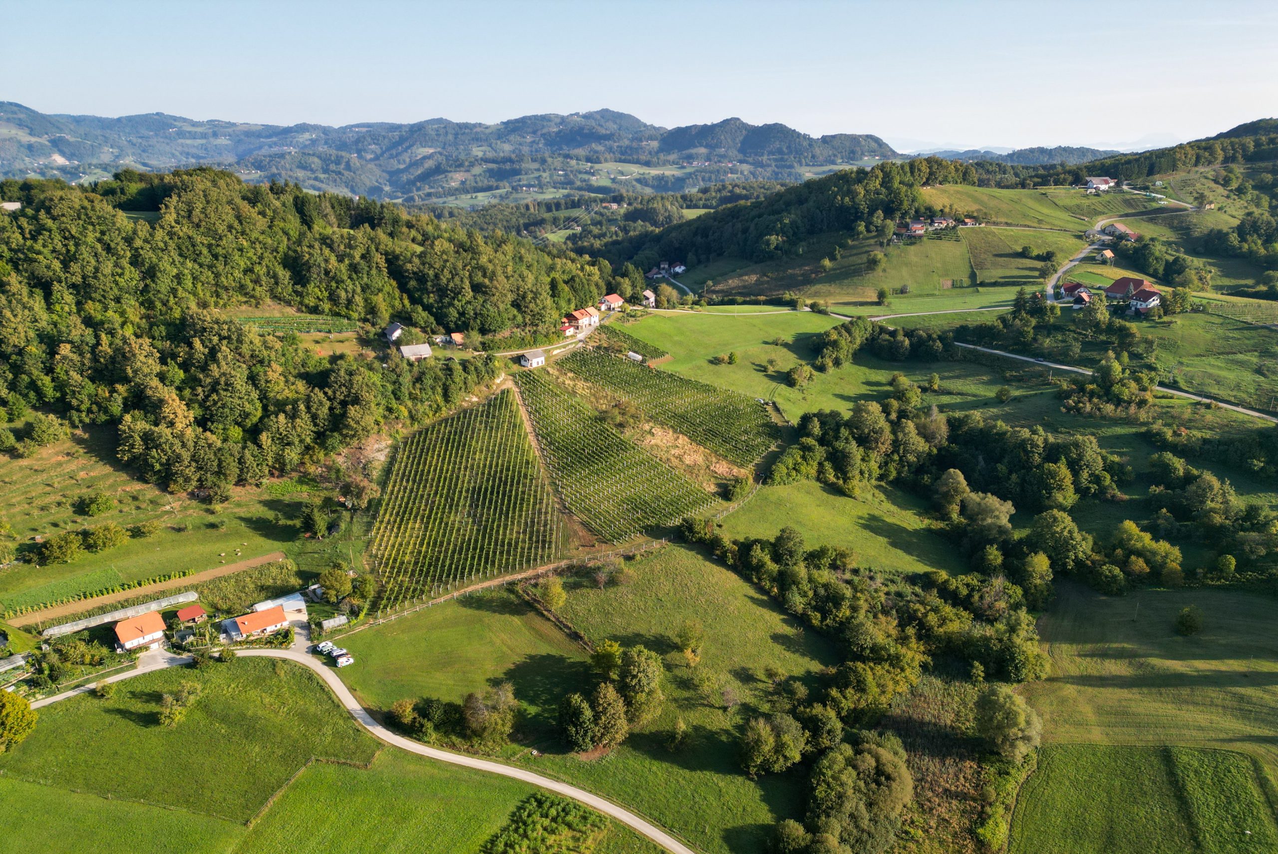 DJI_0800