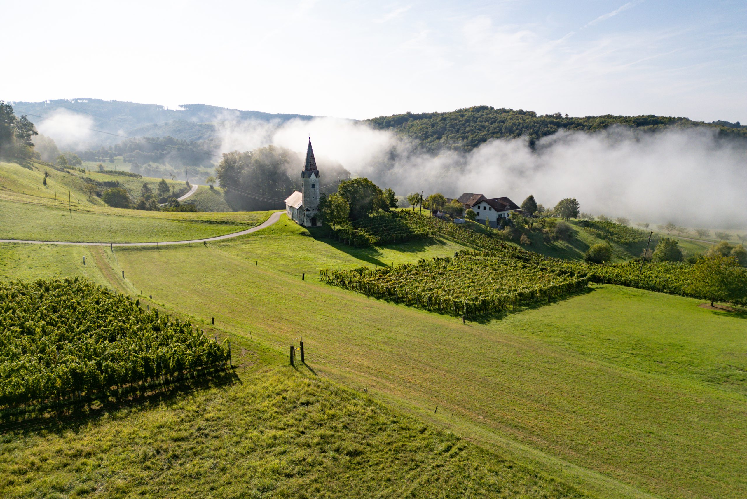 DJI_0822